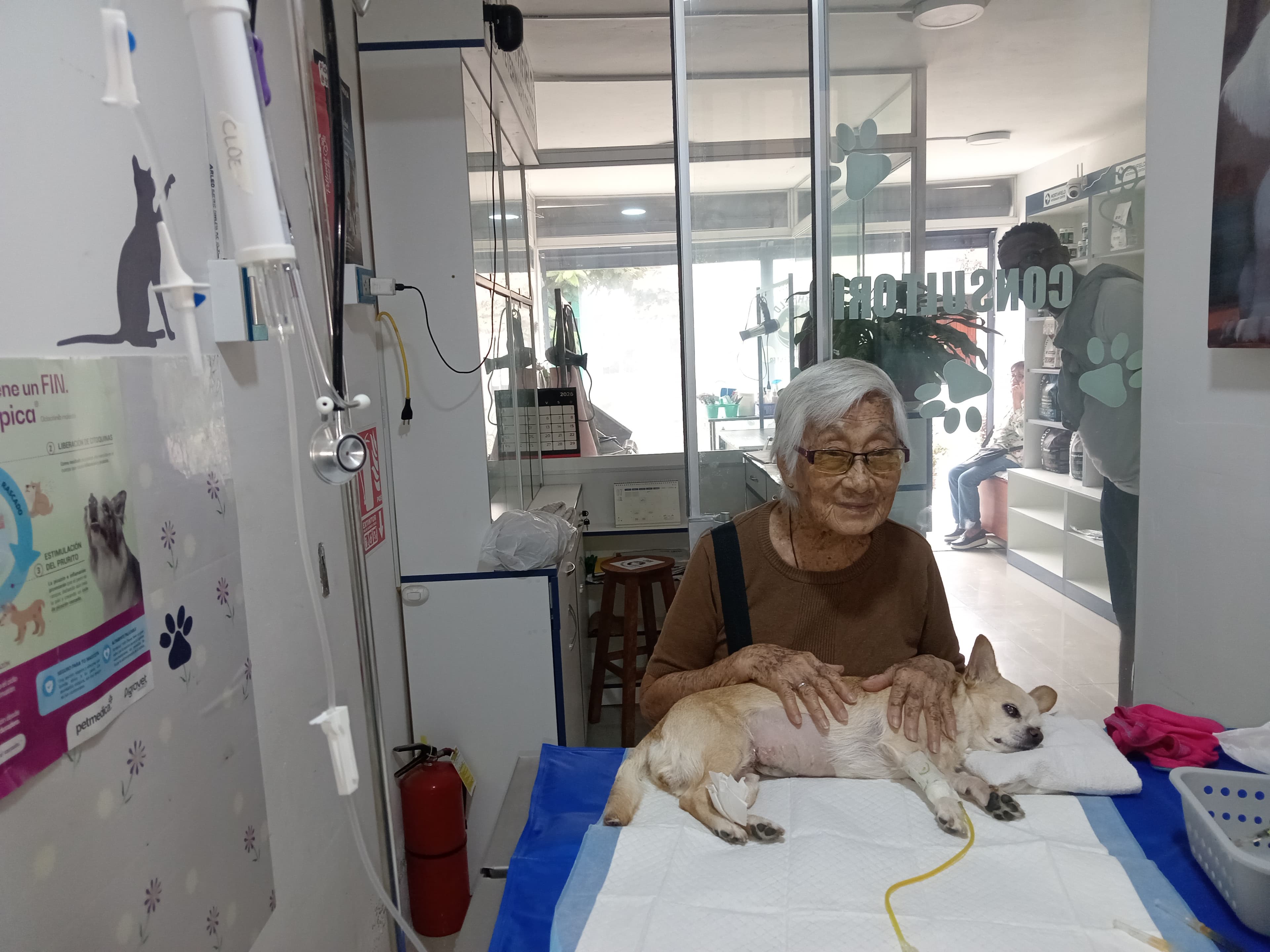 Perro sobre una camilla, acompañado por una persona.
